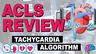 Tachycardia Algorithm  ACLS Review [upl. by Tsnre]