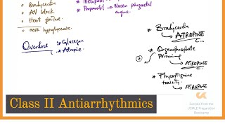 Class II Antiarrhythmics  BBlockers  UPB Lectures [upl. by Aehsila]