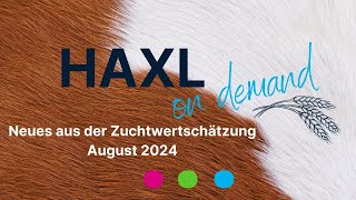 HAXL on demand  ZWS August 2024 [upl. by Enrobso491]