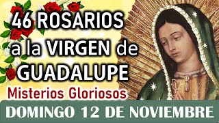 46 Rosarios a la Santísima Virgen de Guadalupe Misterios Gloriosos Domingo 12 de Noviembre Dia 16 [upl. by Anauqaj]