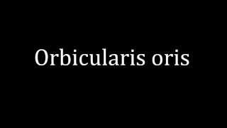 How to pronounce Orbicularis oris [upl. by Aran825]