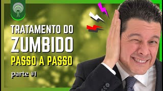 Tratamento do ZUMBIDO Passo a Passo  Parte 1 [upl. by Lleznov]