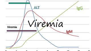 How to Pronounce Viremia [upl. by Delores]