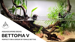 Aquascape Ideas Shallow tropical pondstyle riparium bettafish tank Bettopia V [upl. by Farnsworth]