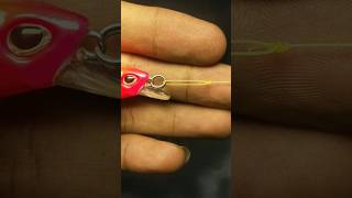 Best knot for lures  Rapala knot for beginner fishing short [upl. by Kellie]