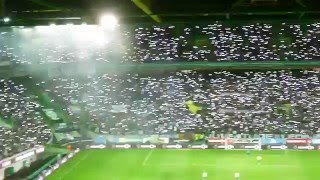 Estádio José Alvalade 07052016 Coreografia Luminosa Fantástica Nunca Vista [upl. by Aldon]