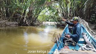 Mancing di sungai kecil Sampai tiga joran di sambar ikan berbisa [upl. by Ayin]