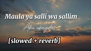 Maula Ya Salli Wa Sallim  Beautiful Nasheed  Abu Ubayda slowedreverb [upl. by Awe]