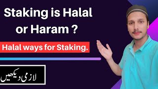 Staking is Halal or Haram  Is Staking Halal  Must Watch [upl. by Suirtimed]