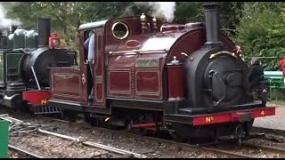 The Lynton and Barnstaple Railway Autumn Steam Gala 2024 [upl. by Eimmis663]