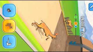 Race games Animals levels38 [upl. by Schnur672]