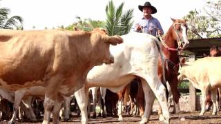 Soy Campesino  Milciades Sanabria Video Oficial 2018 [upl. by O'Reilly185]