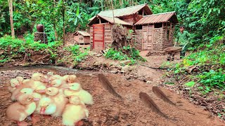 400 days of building a house digging a pond making a garden and a barn [upl. by Navoj]