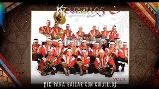 Banda Cuisillos Mix Cumbias Viejitas  Para Bailar Con La Tribu [upl. by Epilif756]