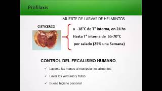 TEÓRICO 12  Infecciones tisulares por cestodes trematodes y nematodes [upl. by Lederer]