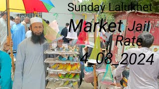 Sunday Lalukhet Market Farhan Birds Youtube Channel [upl. by Ahsenit]