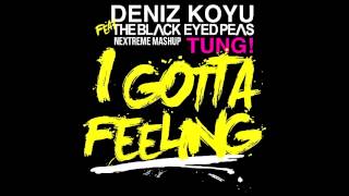 Deniz Koyu  Tung  I Gotta Feeling NEXTREME Mashup [upl. by Ris]