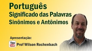 Significação das Palavras  Aula 01 Sinônimos e Antônimos [upl. by Keldon897]