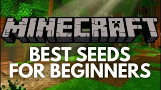 Insane seed Minecraft [upl. by Anij533]