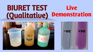 Biuret test  Biochemistry [upl. by Supple]