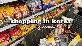 shopping in korea vlog 🇰🇷 grocery food haul with prices 🍑 cheap or expensive 💸💸 [upl. by Walter638]