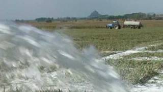 European dairy farmers dump milk in massive protests [upl. by Bonnie]