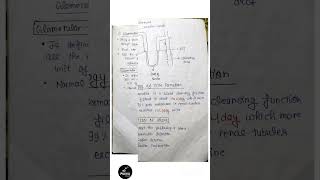 Part 1  Diuretic  physiology of urine formation diuretics pharmacology 5thsem urinarysystem [upl. by Lrub]