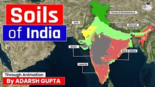 Soils of India Explained through 3D Animation  Indian Geography  UPSC GS1 [upl. by Grosmark938]