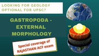 GASTROPODA Mollusca External Morphology  Geology Palaeontology UPSCGeologyOptional RPSC ACF [upl. by Otha]