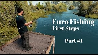 Euro Fishing Tutorial  Taking your first steps in this game with Boss Fish  Part 1 [upl. by Caughey920]