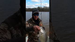 Catching Big Crappie on Kerr Lake in February [upl. by Nangatrad838]