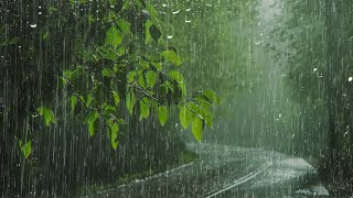 Pluie et Orage pour Dormir Profondément en Moins de 3 Minutes  Merveilleux Bruit de Pluie sur Toit [upl. by Atiuqam]