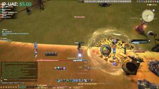 Naadam quest  Final Fantasy XIV Storm Blood Guide [upl. by Elehcar]