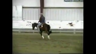 Flash Nu Cash  AQHA Reining Stallion  AT STUD [upl. by Eilyak]