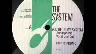 The System  Youre In My System Atmospheric Dub Ibadan 1998 [upl. by Orren]