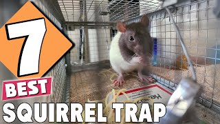 7 Best Squirrel Traps Expert Reviews amp Top Picks [upl. by O'Gowan]