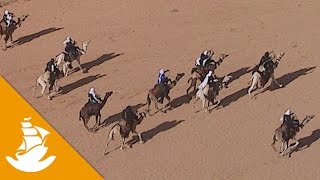 Camel races at Norther Niger [upl. by Fernand]