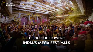 The Holi of Flowers  Indias Mega Festivals  National Geographic [upl. by Ahsuas]