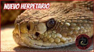 NUEVO HERPETARIO ZOOLÓGICO DE CHAPULTEPEC 🐢🐍🦎🦖 [upl. by Htur]