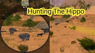 Hunt Hippo Animal Shooter game hunting Animal Shooter Hippo Hunting Shooter [upl. by Guimond]