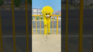 Ye teddy bhi pagal Nikla part 2🤣🤣teddy funny ytshorts shorts views subscribe viralshorts [upl. by Nyrhtakyram]