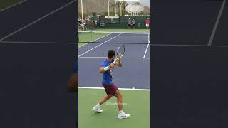 Carlos Alcaraz Forehand Slowmotion [upl. by Oilime929]