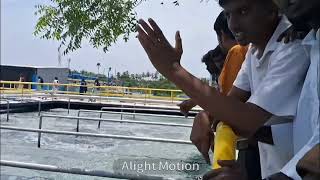 Effluent Treatment Plant process in tamil [upl. by Niltyak695]