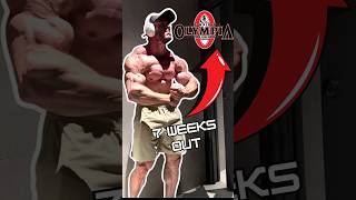 UPDATE JOSEMABEAST 🇪🇸 7 weeks out mrolympia2024 [upl. by Tyson]