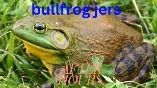 Hey bullfrog jers after hours [upl. by Novyat]