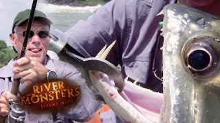 Forgotten Catches Of Season 1  COMPILATION  River Monsters [upl. by Pablo]