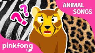 Did You See Cheetah’s Pattern  Animal Songs  Learn Animals  Pinkfong Animal Songs for Children [upl. by Sundberg459]