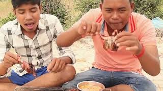 Two brothers Cooking quail at field Eating with Salt and chili Delicious [upl. by Enimsay11]