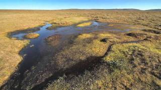 More than just a peat bog [upl. by Htehpaj]