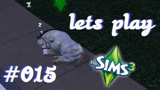 Let´s Play Sims 3 015 NEW Einfach Tierisch  Alle Add Ons  Charlie allein in Bridgeport [upl. by Ardnal361]